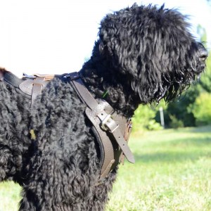 Кожаная коричневая шлейка для дрессировки черного терьера «Working Dog»
